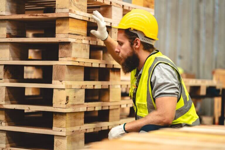 Pallet and Stillage inspect